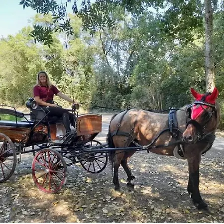 Familial 3 2 Terrasses Foret פארק נופש *