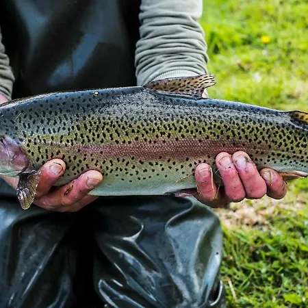 Familial 3 2 Terrasses Foret *