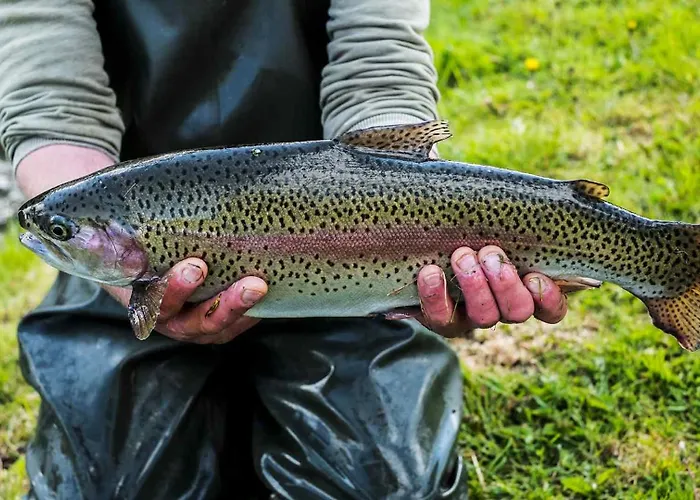 Familial 3 2 Terrasses Foret *